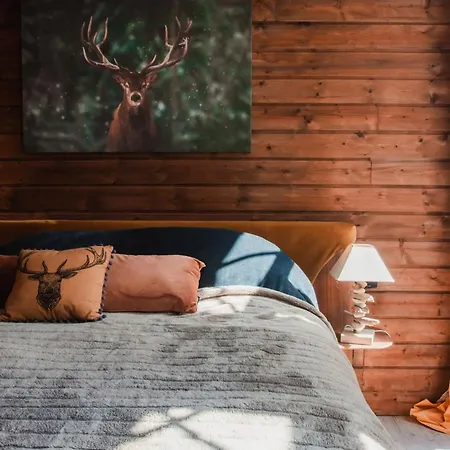 לינה וארוחת בוקר Les Notes Endormies