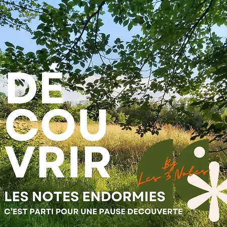Les Notes Endormies Adultes Only 3* Walcourt