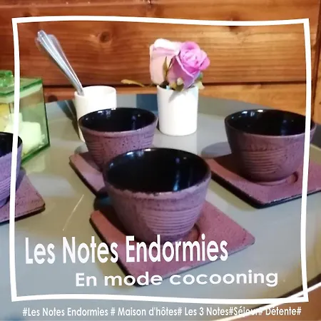Bed & Breakfast Les Notes Endormies Adultes Only Walcourt