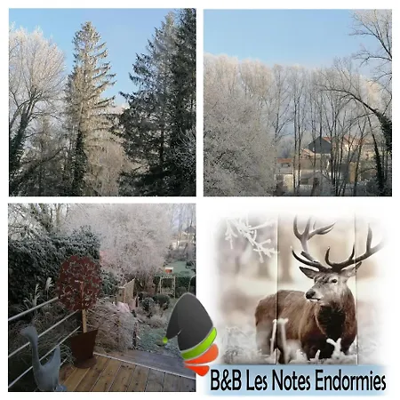 Les Notes Endormies Adultes Only Bed & Breakfast Walcourt