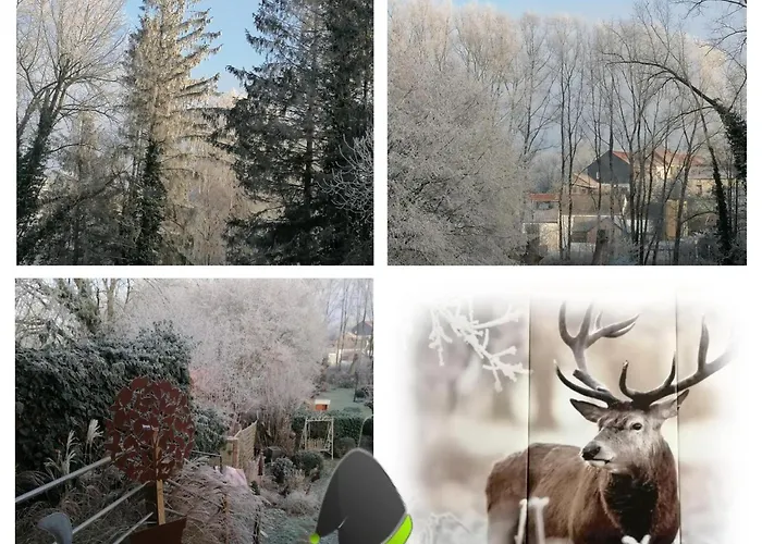 Les Notes Endormies Bed & Breakfast Walcourt